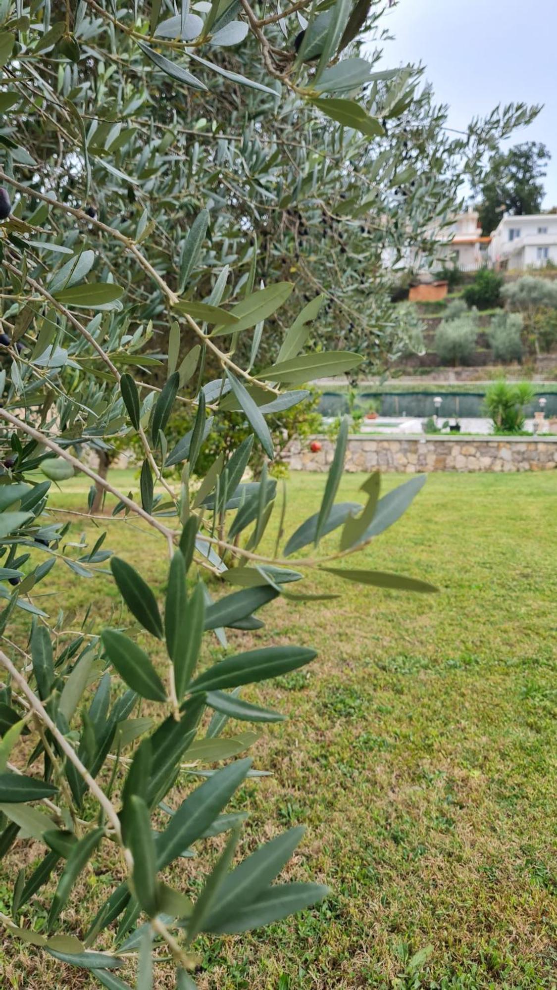 Hotel La Hacienda Ulcinj Esterno foto